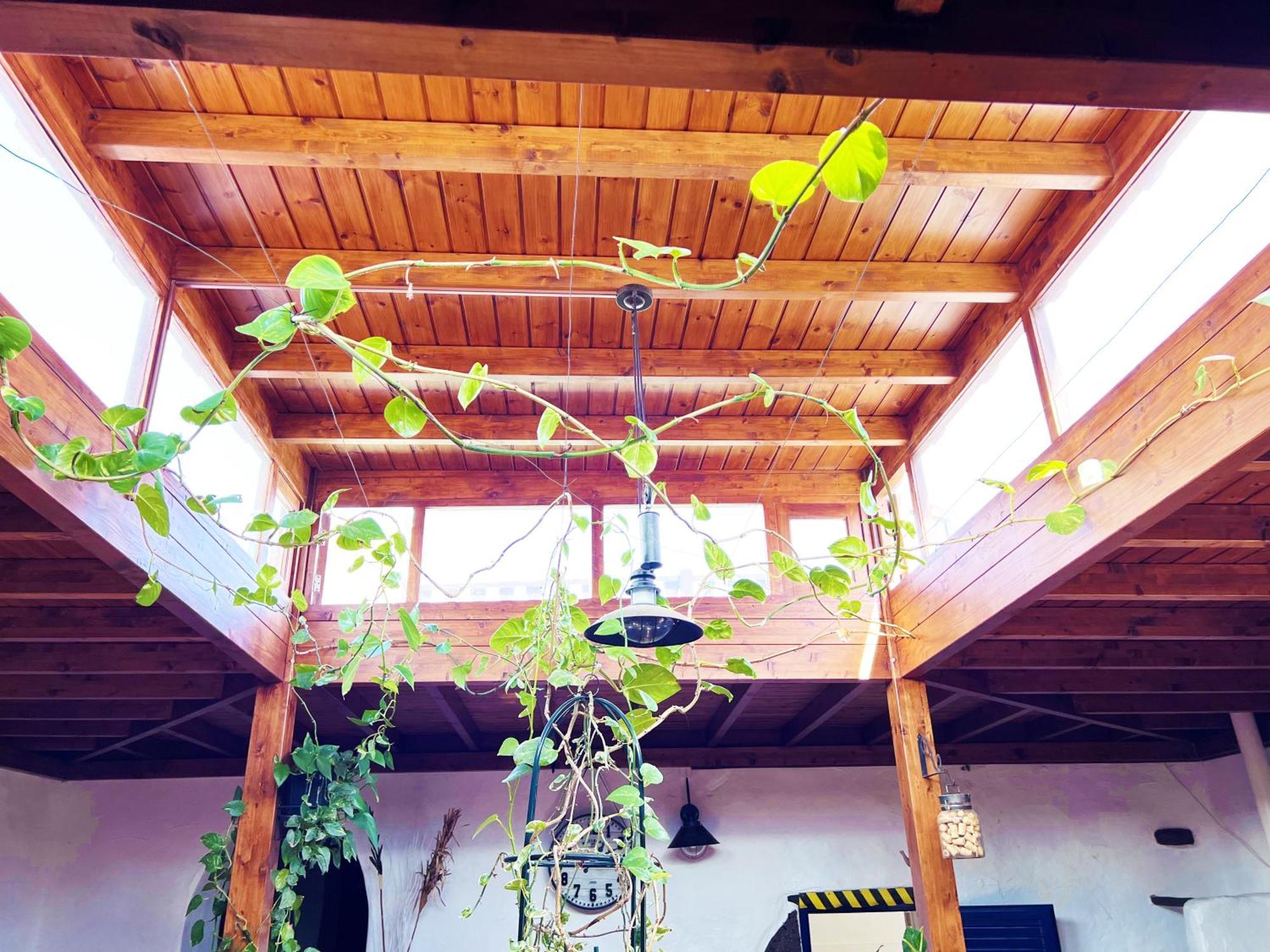 Casa Rural Estilo Canario Villa ซานบาร์โตโลเม ภายนอก รูปภาพ